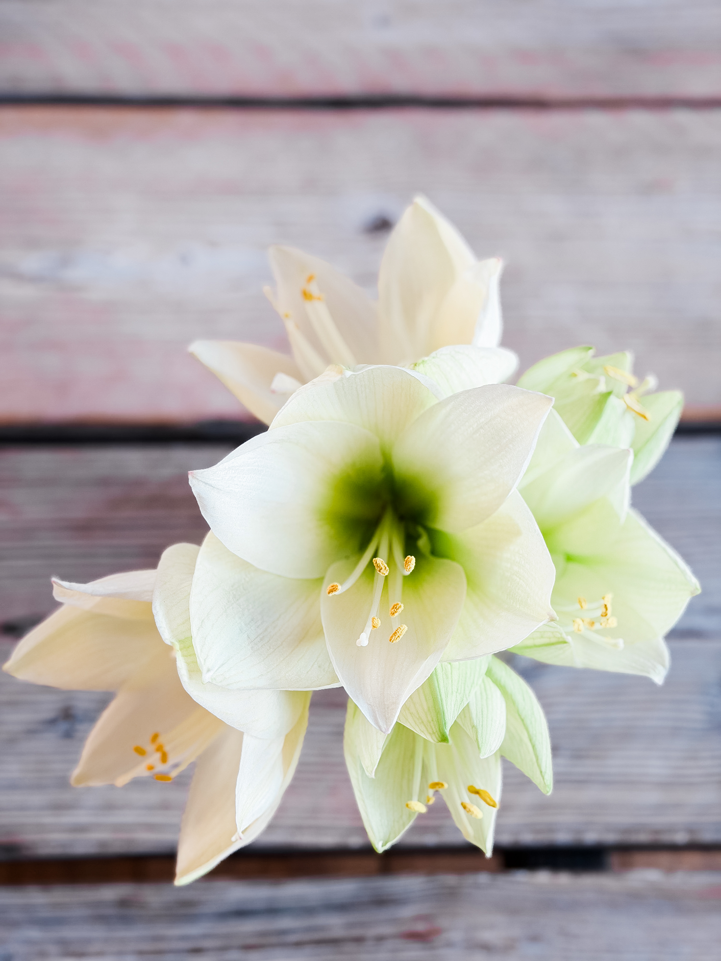 Lebendige
Beziehungen