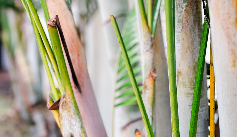 Wahrnehmung als Schöpfer*in – Unser einzigartiger Blick auf die Welt