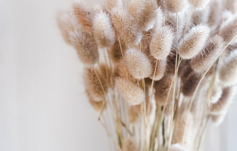 Liebe in Zeiten der Cholera